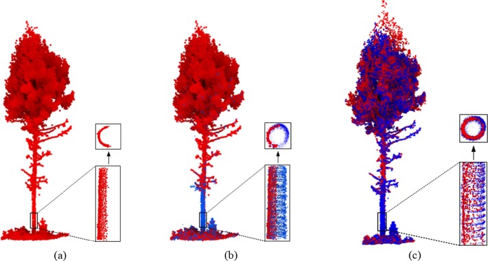 Computer Vision 3D tree analysis